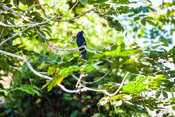 Rzf4fqc23zgw6yi17esot62cxb5k shutterstock 1292359834