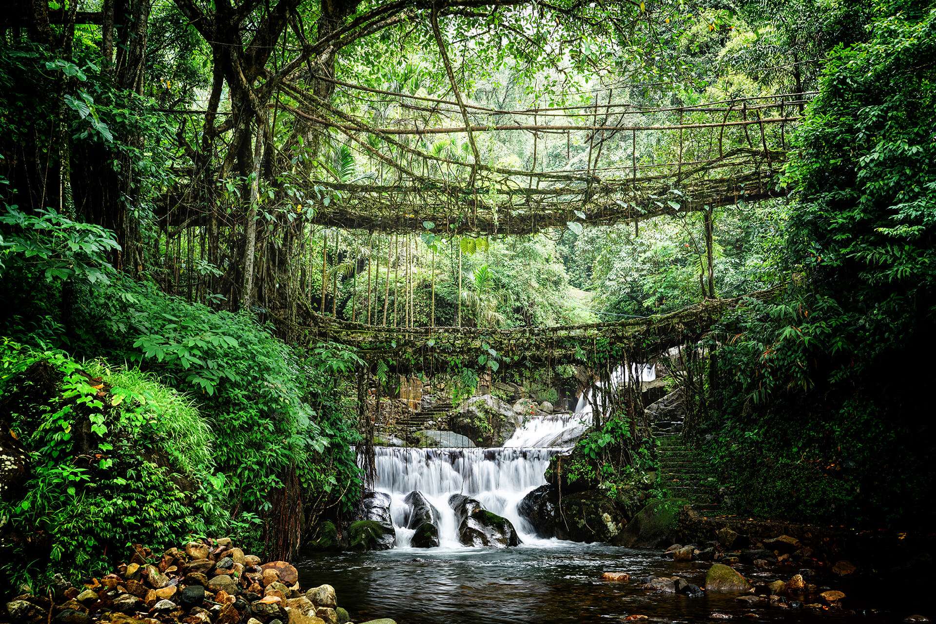 Trek through bamboo forests to a hidden pool of Wah Myor's