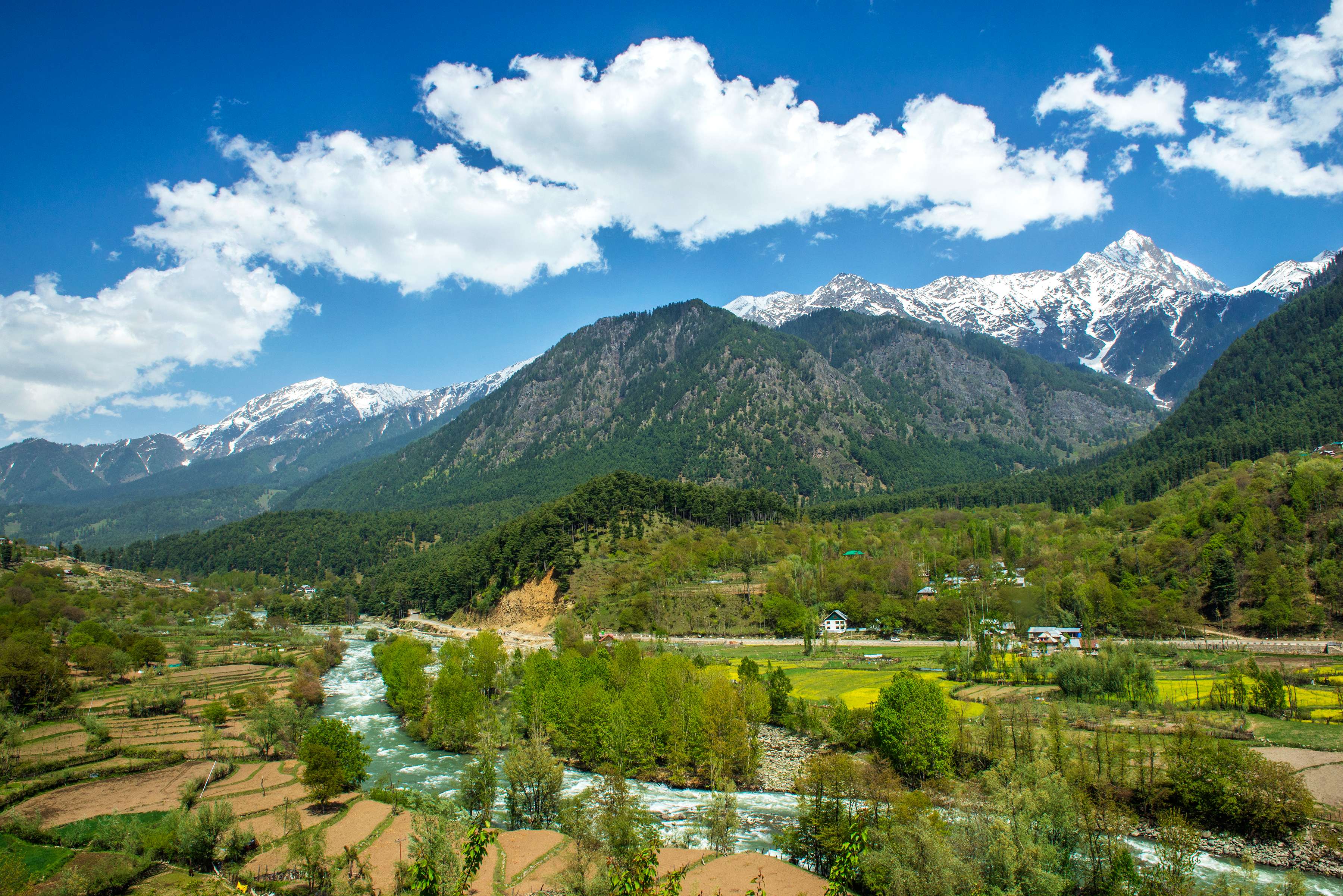 Scenic view of Phalagam
