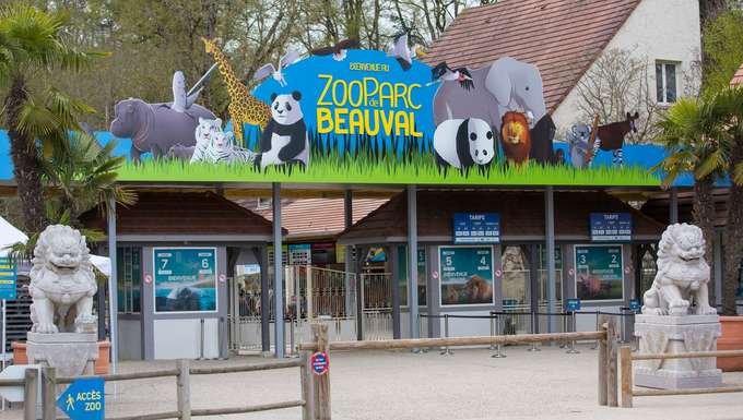 Beauval Zoo