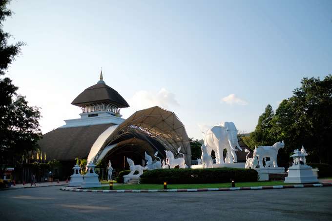 Embark on this exciting night safari experience