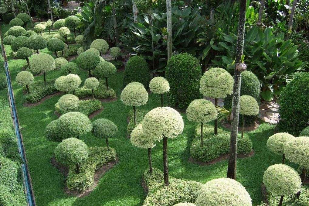 Private Tour From Bangkok To Pattaya Image