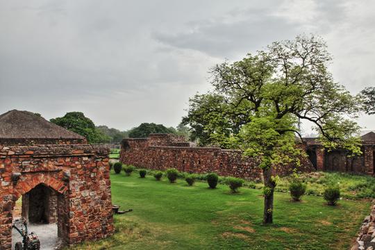 Firoz Shah Kotla Entry Ticket Image