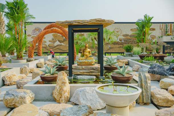 S6dps5d9kehti9oloda0f2ygwpzz c11990cca6ef5c81652704f8e0cc0666