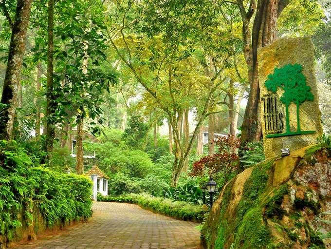 Visit the Tall Tree Resort and spend some quality time