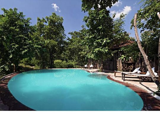 Reni Pani Jungle Lodge Image