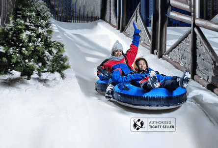 Sliding down the hill is always fun!