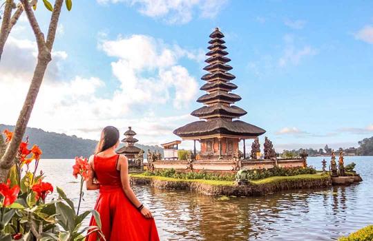 North Bali Tour Image