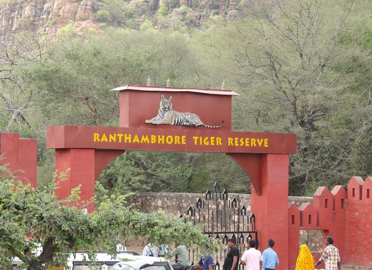 Ahmedabad To Ranthambore Tour Package Image