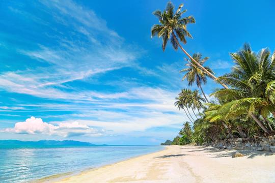 Koh Samet Tour From Pattaya Image