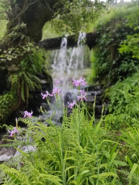 Riverside Camping In Jibhi Image