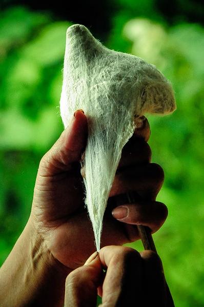 Day Tour At Silk Village At Umden Image