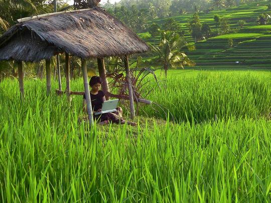 Ubud Walking Tour Image