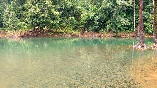 Bhagavathi Nature Camp Image