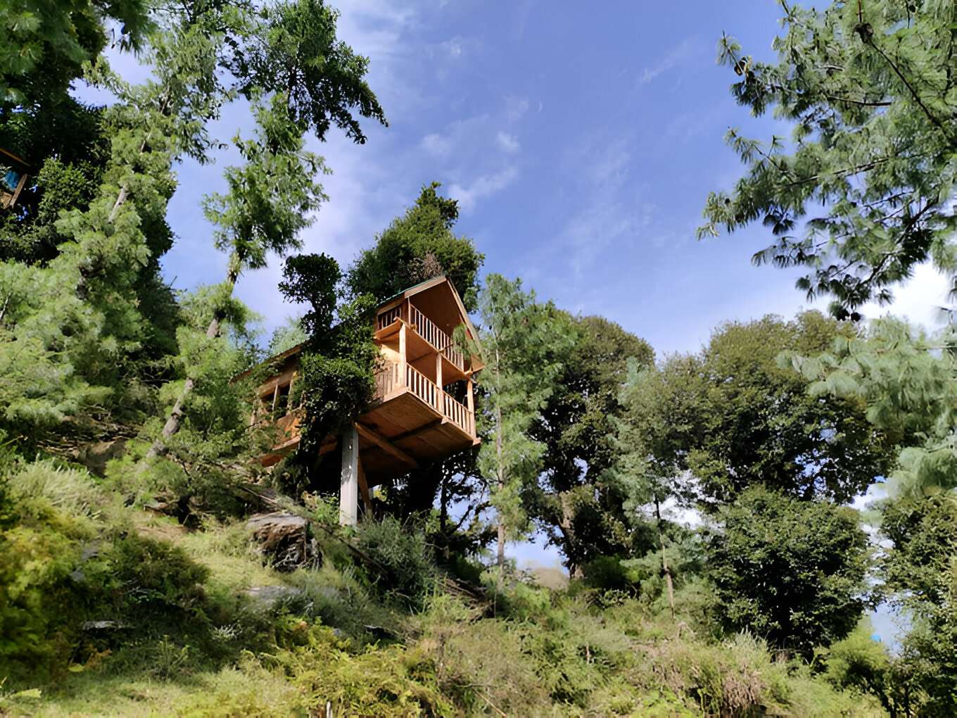 Experience a serene 2-day, 1-night getaway in the heart of Jibhi