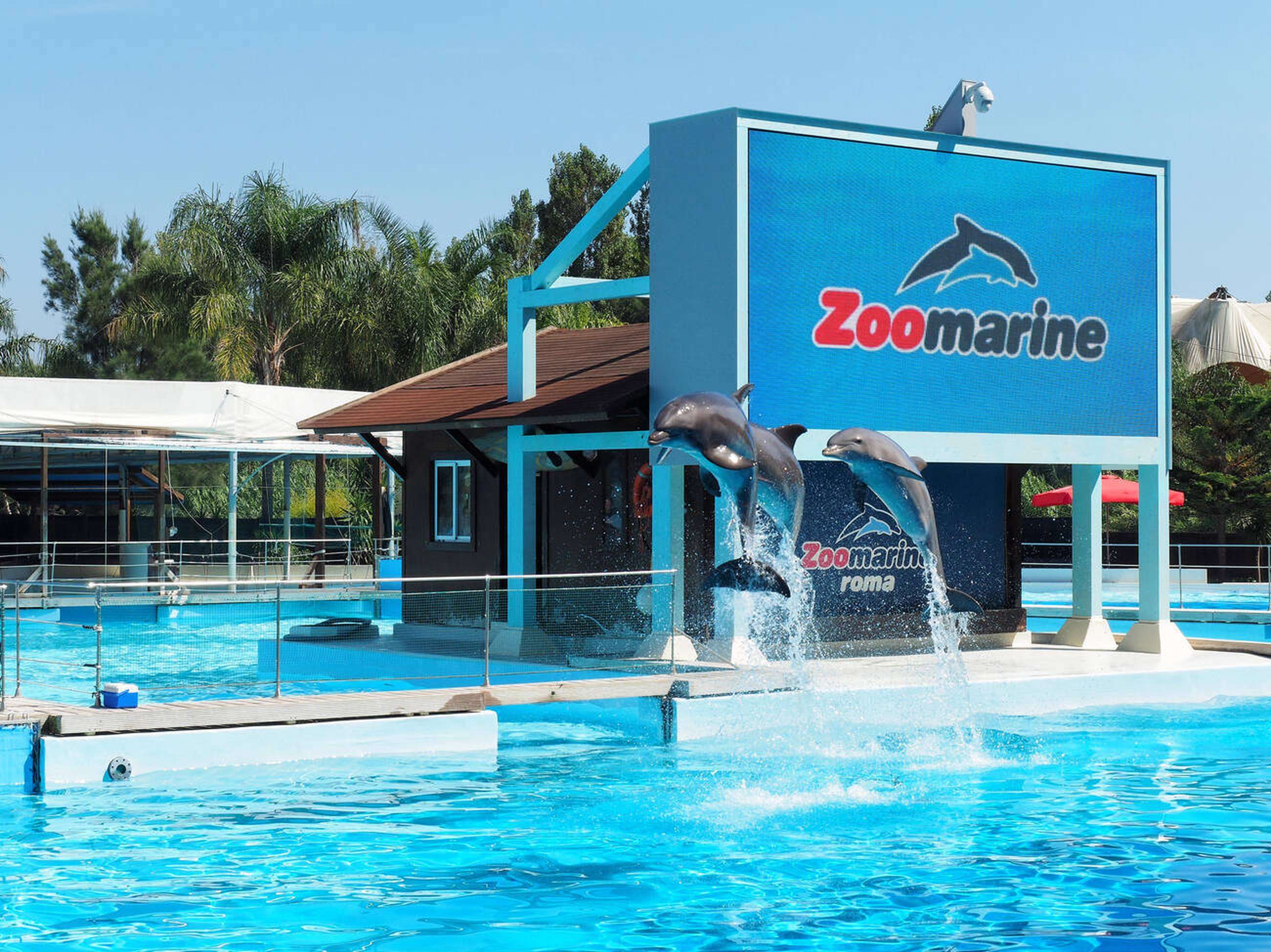 Zoomarine Rome