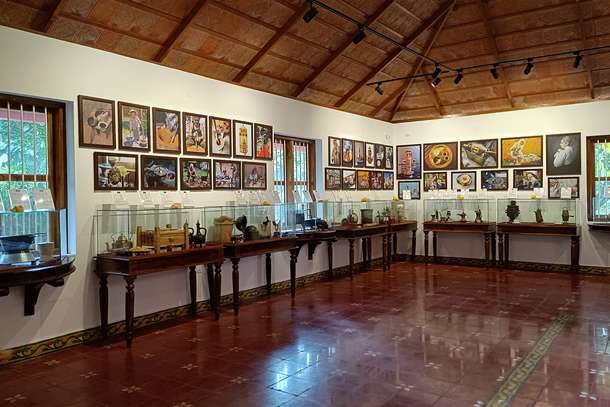 Coorg Coffee Estate and Museum Tour