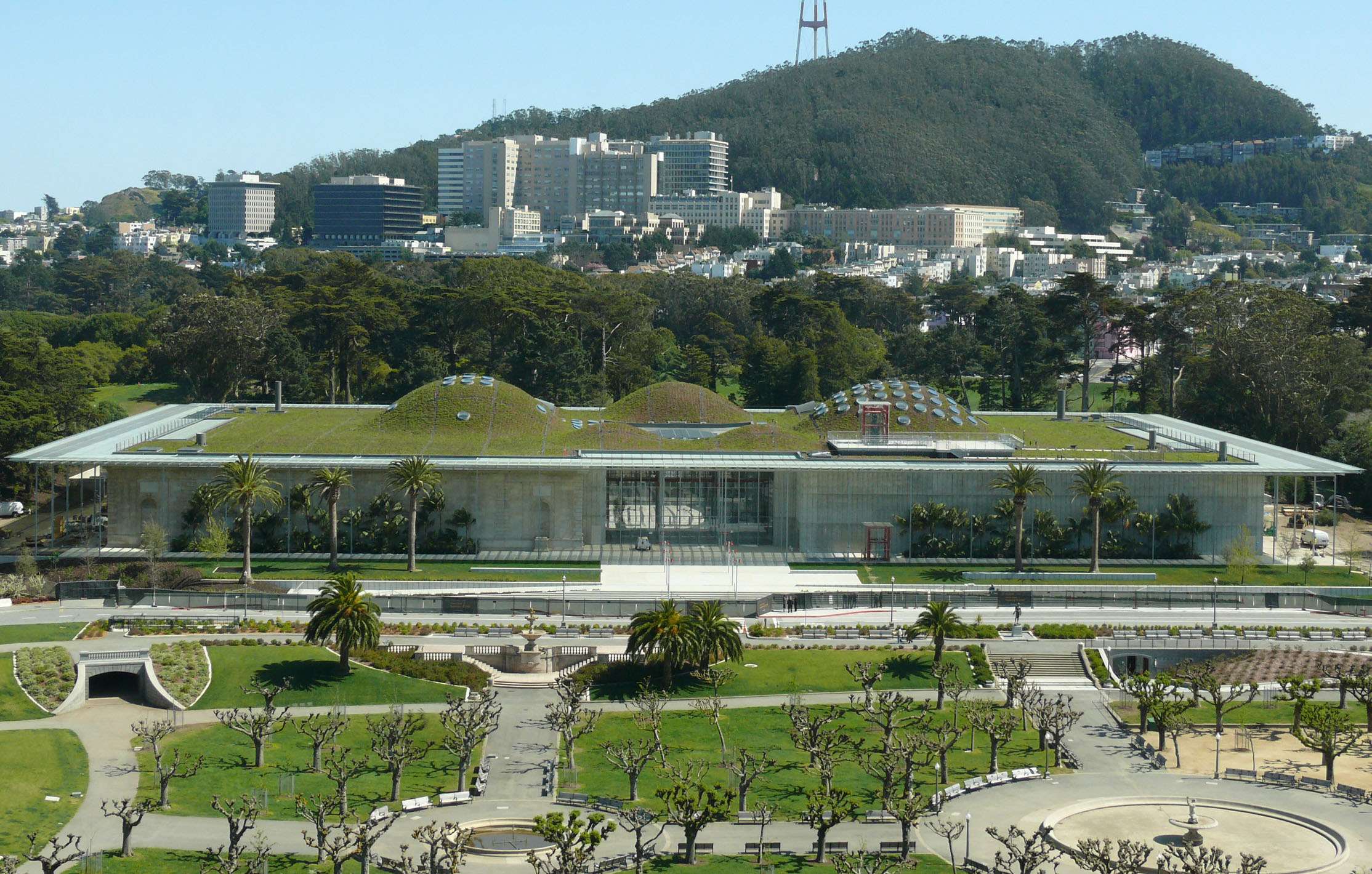 Experience a day at the California Academy of Sciences
