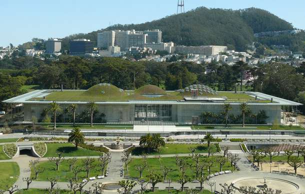 Experience a day at the California Academy of Sciences