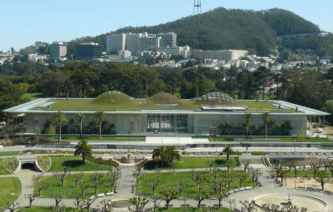 Experience a day at the California Academy of Sciences