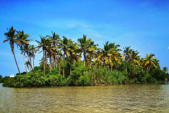 Poovar Boating in Kerala Image