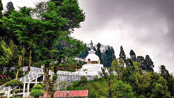 Sfsu7vedaw063t0737eqpbnvwomm 66304824 715492722235200 8202906623968420376 n