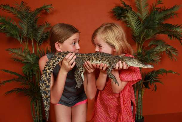 Enjoy interacting with reptiles at the crocosaurus cove