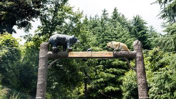 Sglwkrghqk5il7pwj61yvkz5u8om shutterstock 1459892021