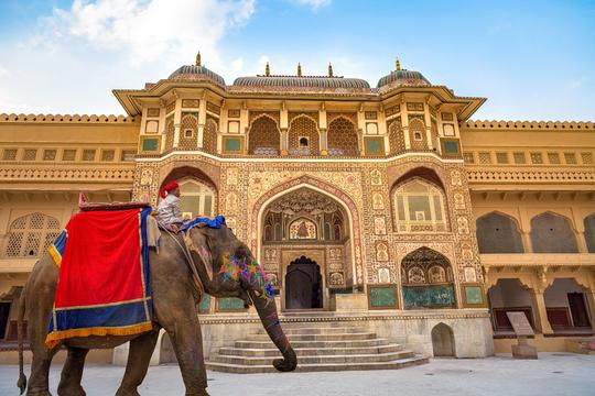 Jaipur Udaipur | FREE Amer Fort Ticket Image