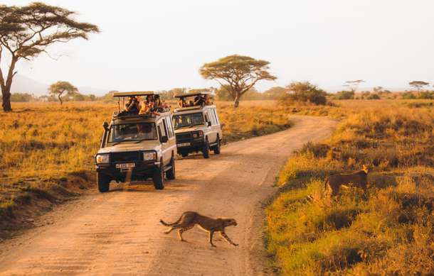 Si5rmthsif97ja6fp9qen2w442n8 dl.beatsnoop.com 3000 hxtvhfqe6s