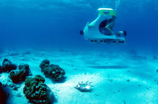 35 Meter Submarine Dive in the Indian Ocean Image