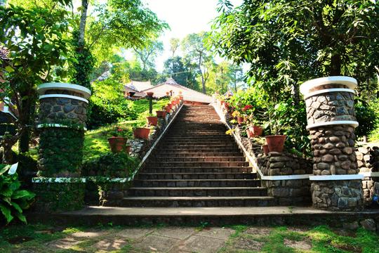 Misty Woods Resort Image