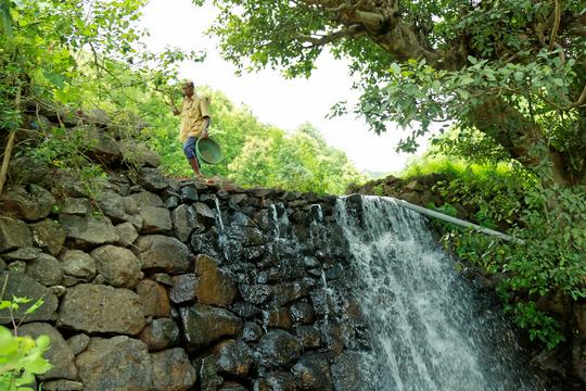 Blue Mormon Resort Image