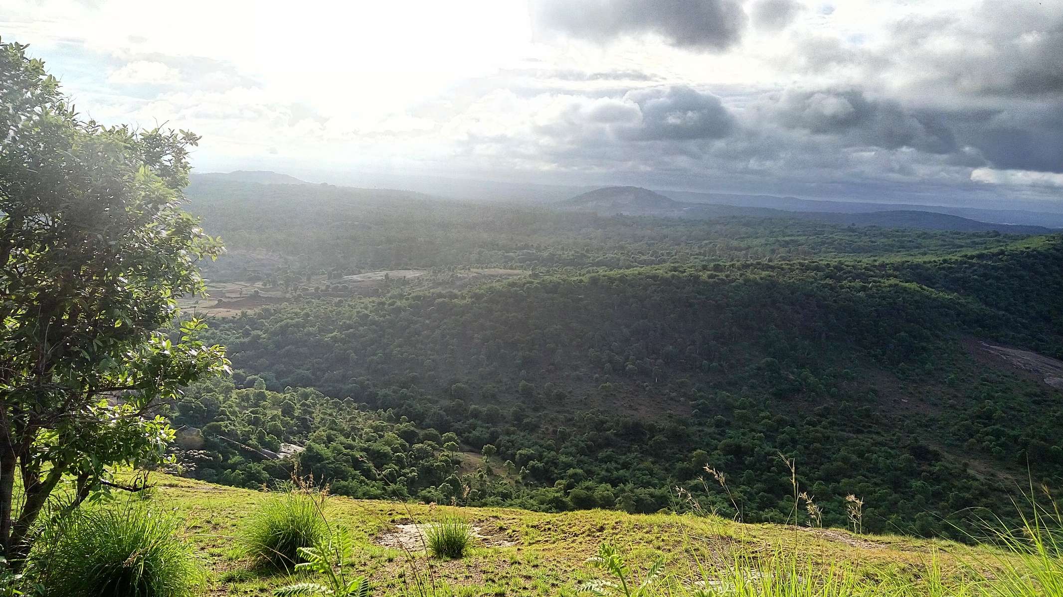 Narayangiri Trek Image