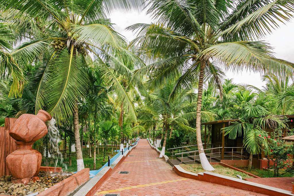 Sterling Anaikatti Image