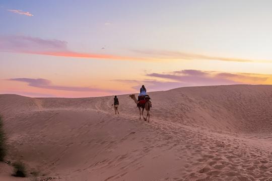 Desert Camping In Jaisalmer With Camel Safari Image