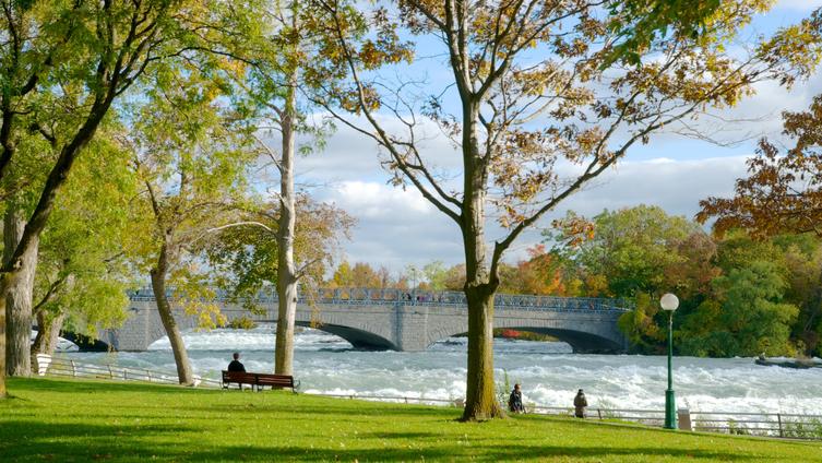 Niagara Falls State Park