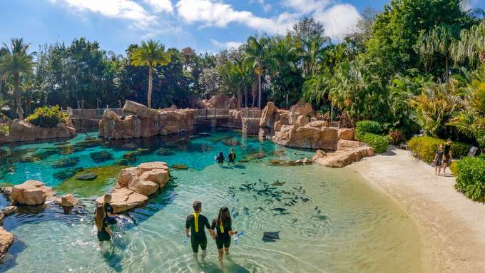 Visit the Discovery Cove Park offering an exciting tropical day out with your loved ones