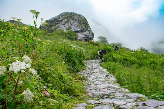 Hemkund Sahib Trek Image