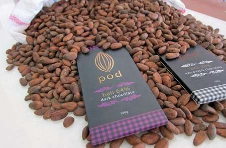 Pod Chocolate Factory Tour at Bali Elephant Camp Image