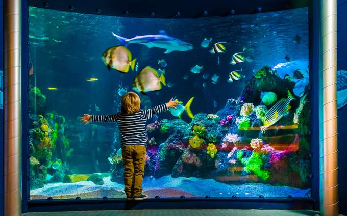 Welcome to the Aquadom and Sea Life in Berlin