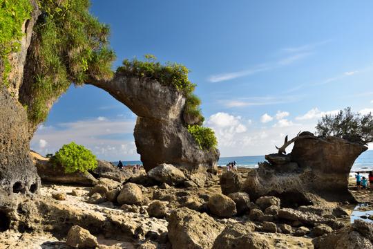 Andaman Coastal Retreat Image
