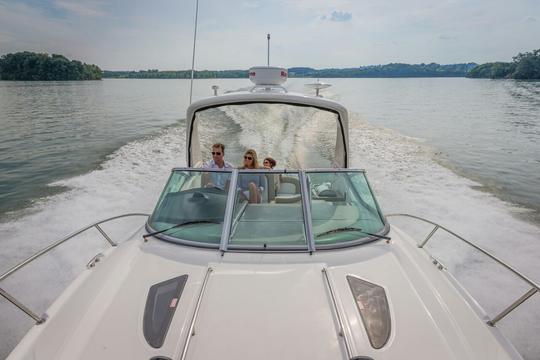 Sea Ray 330 Yacht Rental in Goa Image