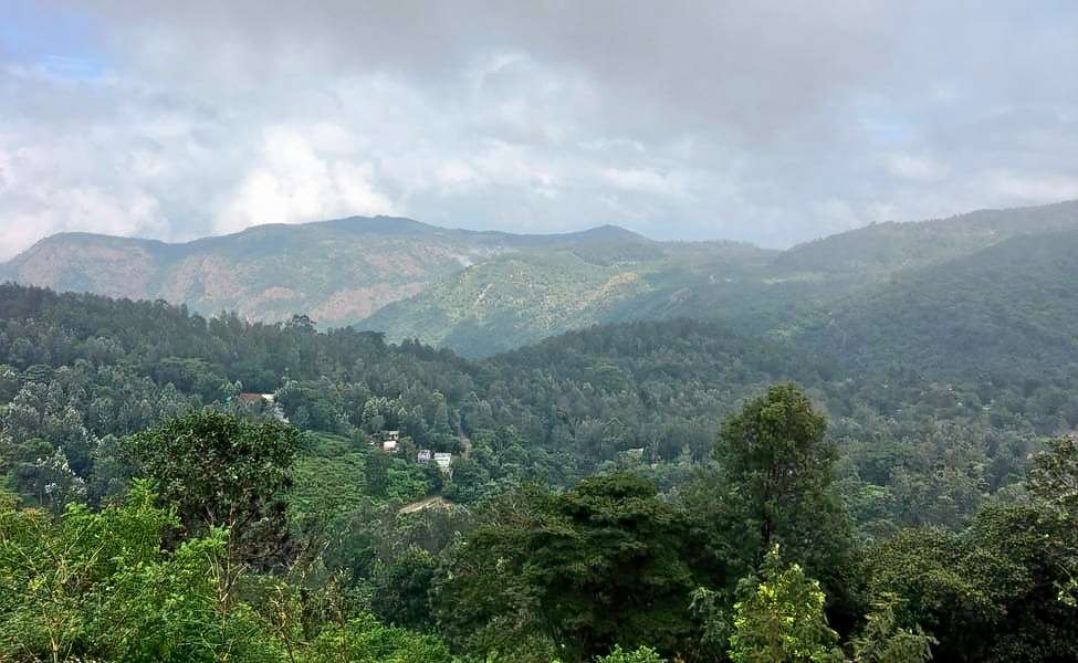 Yercaud Tour Package from Chennai Image