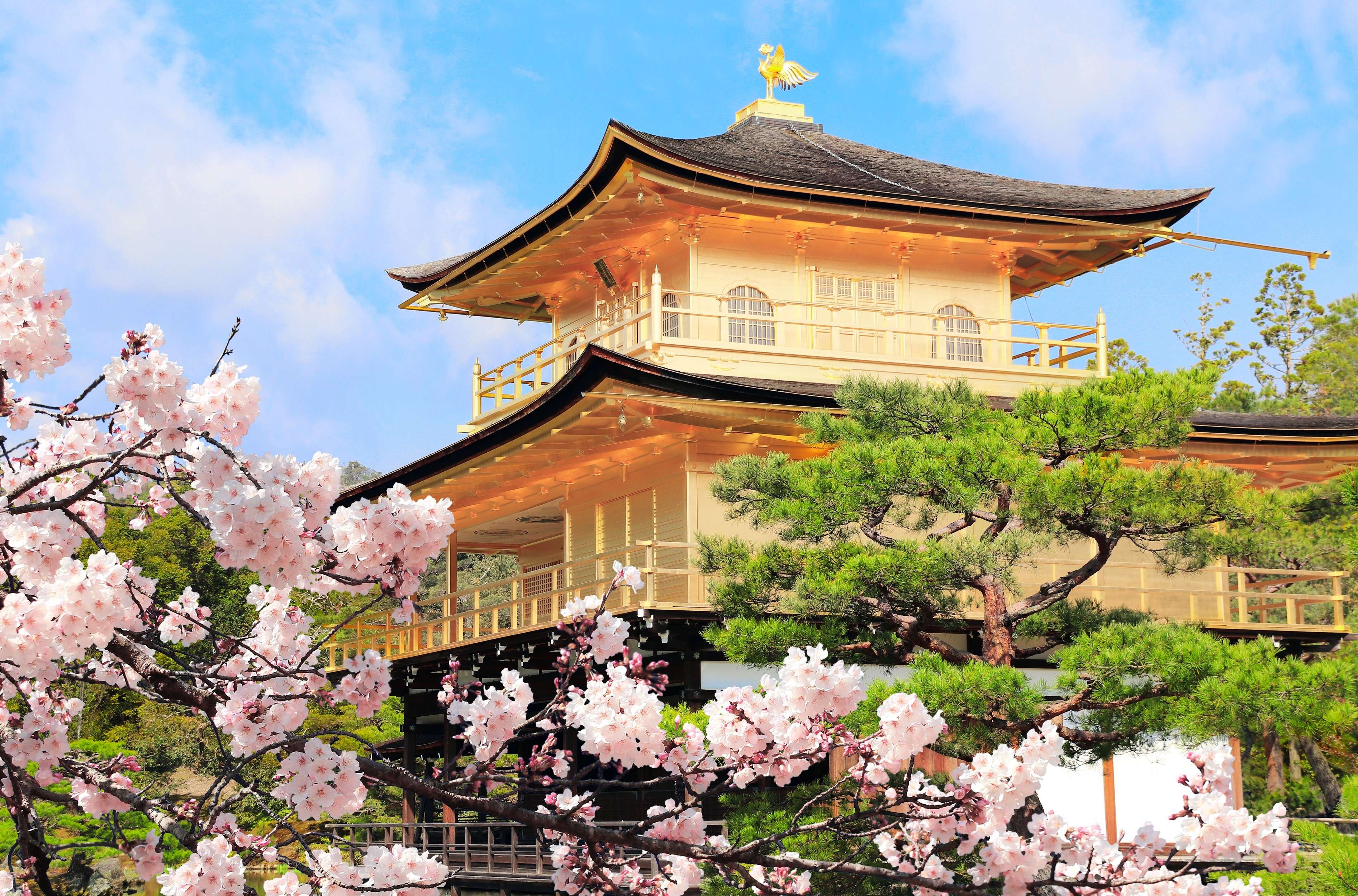 Witness the splendour of Kinkakuji Temple’s golden façade