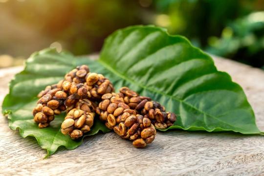 Bali Land Package Image