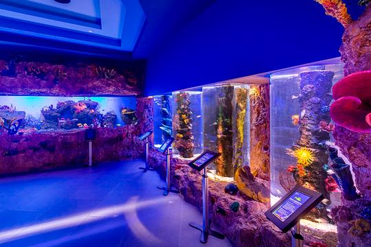 Cebu Ocean Park Tickets Image