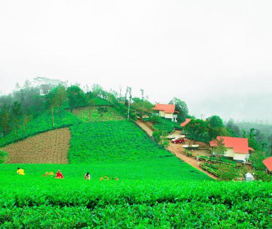 Voye Homes Novella Image