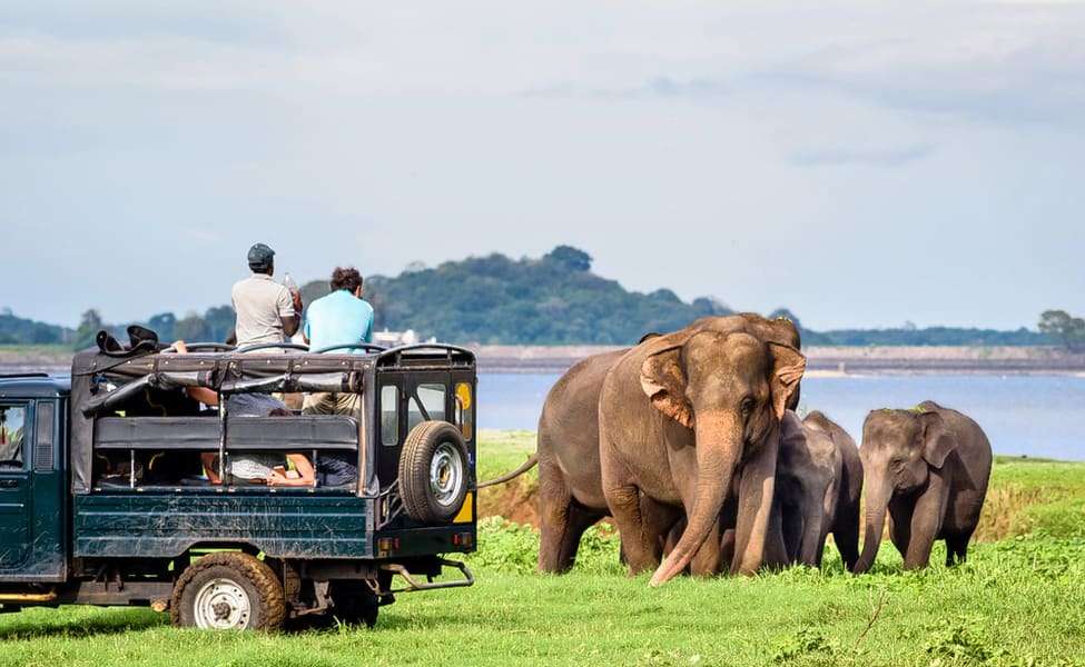 Fun experience with family at Udawalawe National Park 