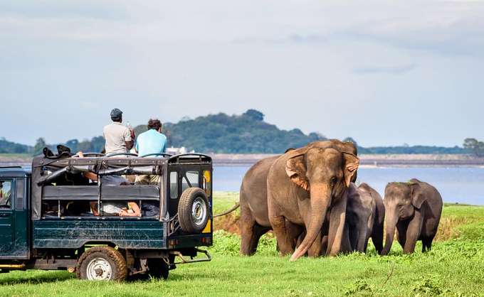 Fun experience with family at Udawalawe National Park 
